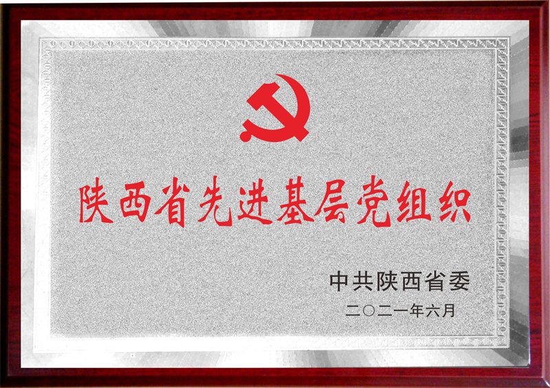 陜西省先進基層黨組織